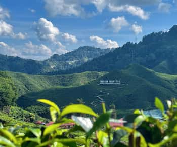Au départ de Kuala Lumpur : excursion d'une journée à Cameron Highlands avec déjeuner