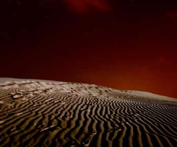 Doha Night Desert Safari Stargazing And Camel Ride