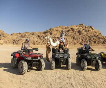 Sharm El Sheikh: Quad Biking & Desert Safari with Pickup