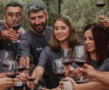 Mendoza: Tour de Cata de Vinos con Almuerzo y Transporte Privado