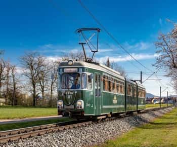 Mannheim: City tour with the historic streetcar