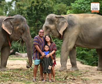 Koh Samui: Inngang til elefantreservatet og fôringsopplevelse