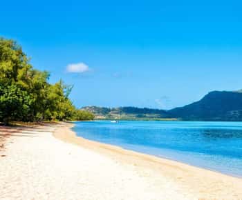 Mauritius västkust DolphinSwim, CrystalRock, & lunch