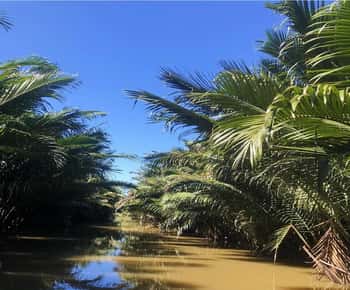 Ben Tre: visit Mekong delta region