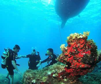 Ibiza: Try Scuba Diving and Snorkeling Boat Trip