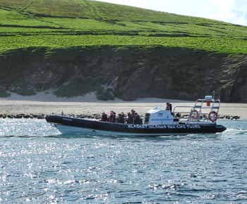 Dingle: Wonders of Blasket Islands Sea Life Bootstour