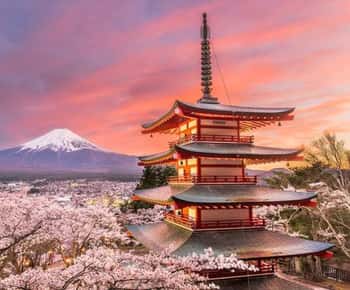 東京発：富士山1日カスタマイズ可能プライベートツアー
