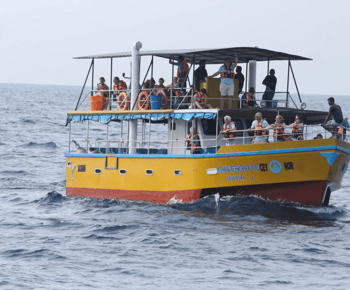 Passeio de barco com tudo incluído para observação de baleias e golfinhos em Mirissa