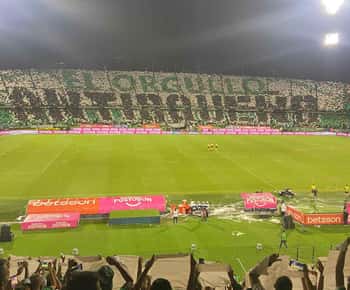Medellín: Football Tour with Stadium Visit