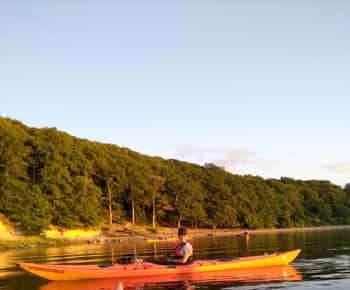 Guided kayaking on Roskilde Fjord: Private tour