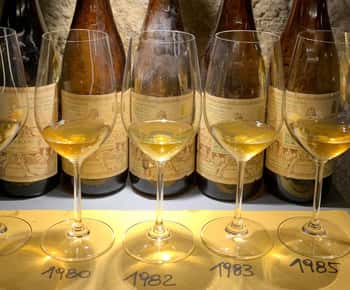 Wine Tasting with Local Bites in Pisa near the Tower