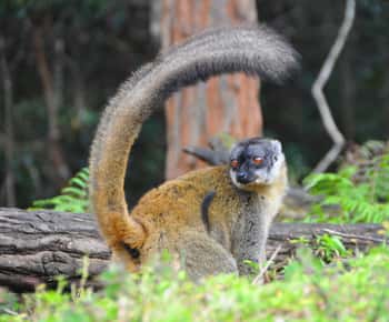 Antananarivo : Day tour to Mantasoa Lake
