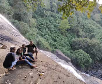 Munnar: excursión a los jardines de té y safari en elefante en 4x4