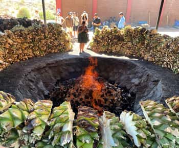 Mezcal Tour Oaxaca