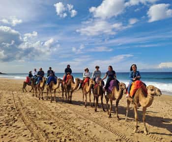 From Tangier: Cap Spartel and Hercules Cave with Camel Ride