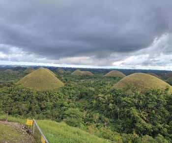 BOHOL: Chocolate Hills, Tarsiers and Loboc River Day Tour