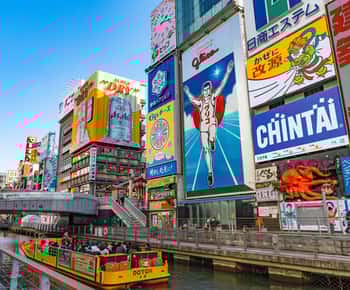 Osaka: Iconic Landmarks and Culinary Gems Private Tour