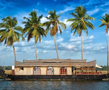 Cochin: 5-Day Kerala Tour with Munnar, Thekkady and Alleppey