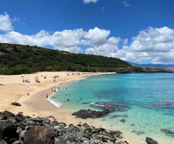 Oahu: Viagem de 1 dia à costa norte com actividades incluídas