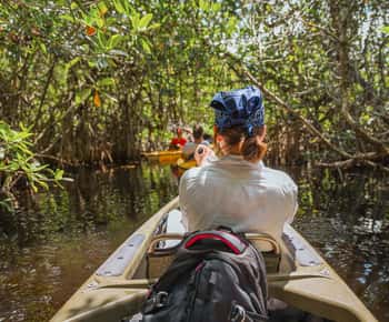 Everglades National Park: Mangrove Tunnel Kayak Eco-Tour