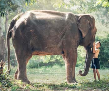 Desde Cochin: Tour de Kerala de 4 noches y 5 días