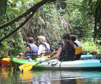 Tortuguero: KAYAK Tour in the Canals. An Unparalleled Experience