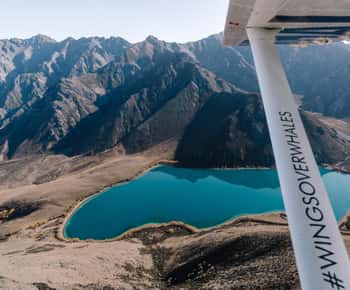 Kaikoura: Walvissafari & bergtocht met verlengde vlucht