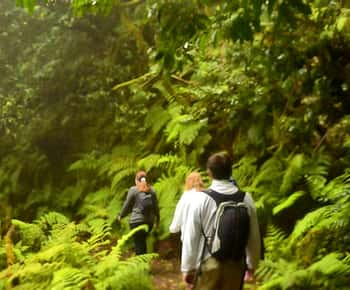 Tenerife : Randonnée guidée dans le parc rural d'Anaga