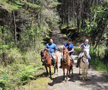 Medellin: Reiten auf einer Kaffeefarm Tour mit Kaffee Spa