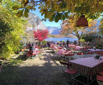 From Vienna: Hallstatt & Salzburg (En / Es Guide)