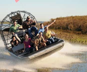 Everglades: Airboat Ride and Wildlife Sanctuary Tour