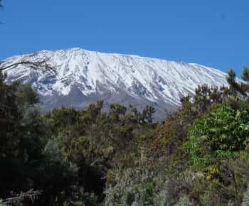 Mount Kilimanjaro one day hike to base camp for small group