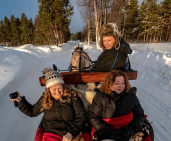 Alta: Sleigh or wagon Ride in the Arctic Countryside