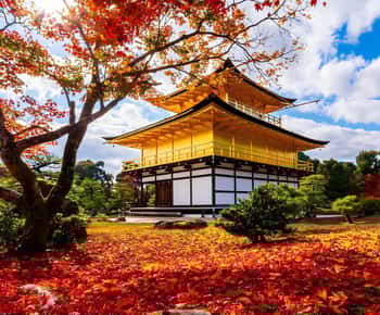Osaka/Kyoto: Kyoto ve Uji UNESCO Dünya Mirasları Otobüs Turu