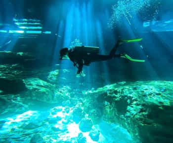 Tulum: Cenote Dos Ojos 2 Inmersiones con Opción de Traslado