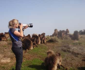 3 Days Trekking & Wildlife Spotting in the Simien Mountains