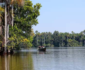 Tour fotografico dei pappagalli e degli ara del fiume Tambopata