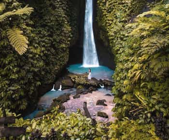 Bali: Discover Jungle Waterfalls and Rice Terraces