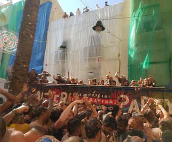 De Valência: La Tomatina 2025