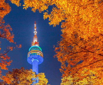 Seoul: N Seoul Tower Observatory Ticket
