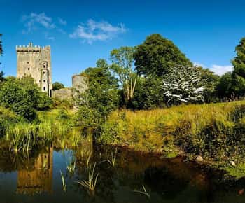 Shore Tour from Cork: Blarney, Kinsale & Cork