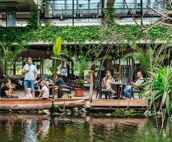 Biosphäre Potsdam Entry Ticket