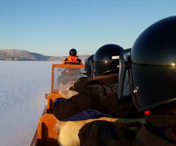 Ivalo: Jääkalastusretki Inarijärvelle, poroja & lounas