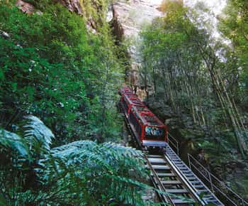 Blue Mountains: Scenic World, Ferry, Zoo & Koala Photo