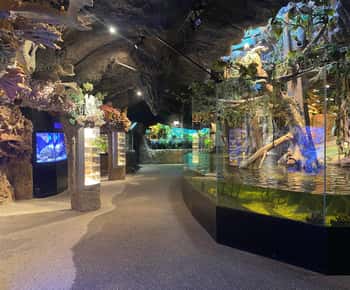 Stockholm: The Skansen Aquarium Entry Ticket