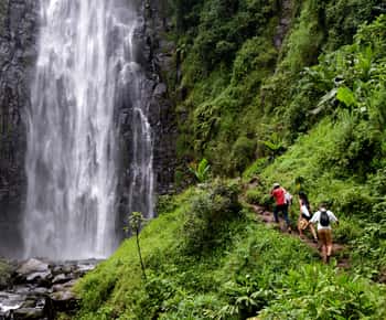 Materuni Waterfalls, Chemka Hot Springs, &/Or Coffee Tour