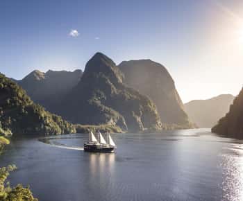 From Queenstown: Doubtful Sound Wilderness Day Trip