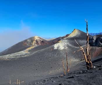 La Palma: Tour zum neuen Vulkan Tajogaite 360º.
