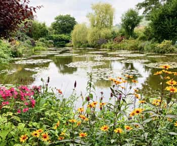 Giverny Versailles Trianon Pequeno grupo em minivan saindo de Paris