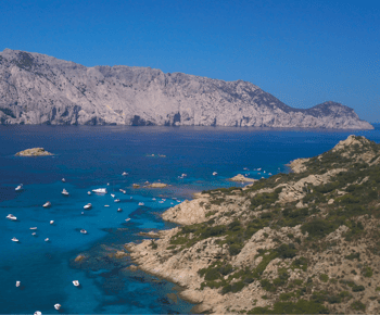 Vanuit Olbia: tour naar Tavolara, Molara en aperitief